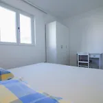 Appartement Radic